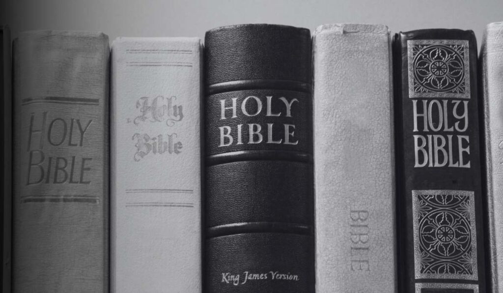 Learn how to read the bible_shelf of bibles